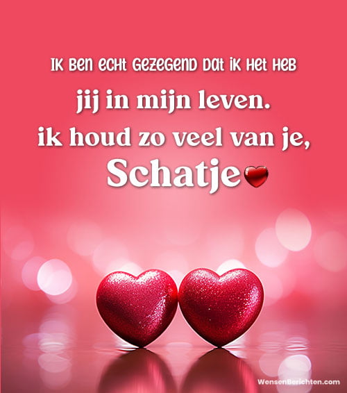 lief-liefdesbericht-1