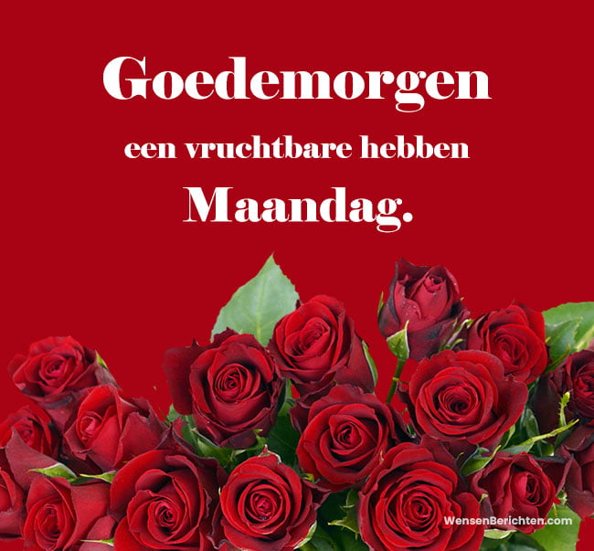 Maandag-groetjes