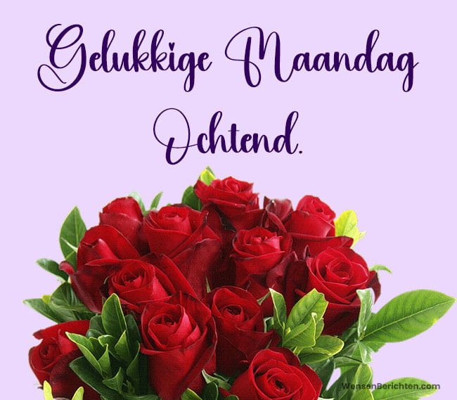 maandagmorgen wensen