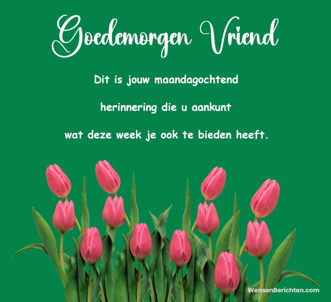 goedemorgen-maandag-wensen-voor-vrienden