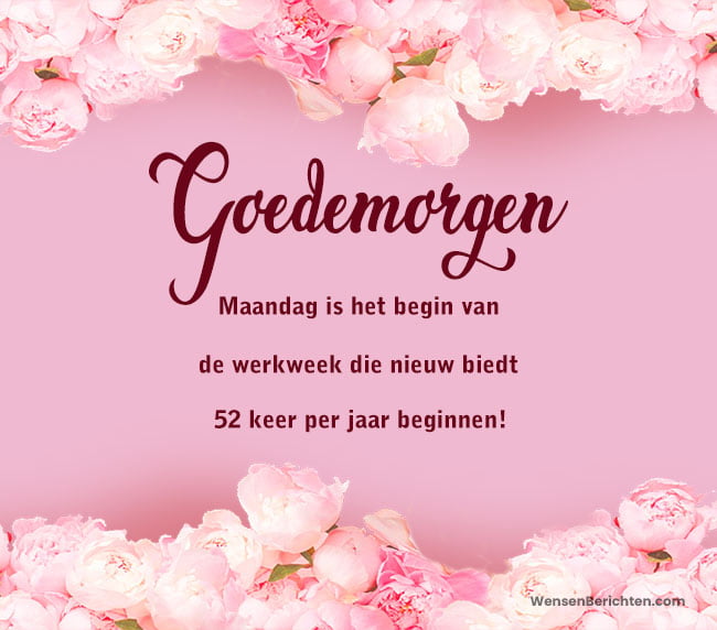 maandagmorgen-bericht