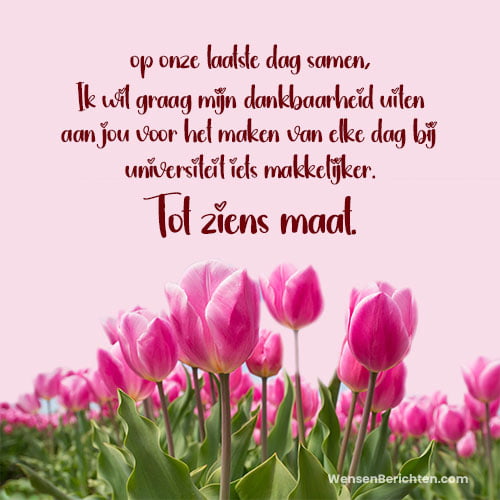 Afscheids-berichten-voor-een-vriend-op-de-laatste-dag-van-de-universiteit