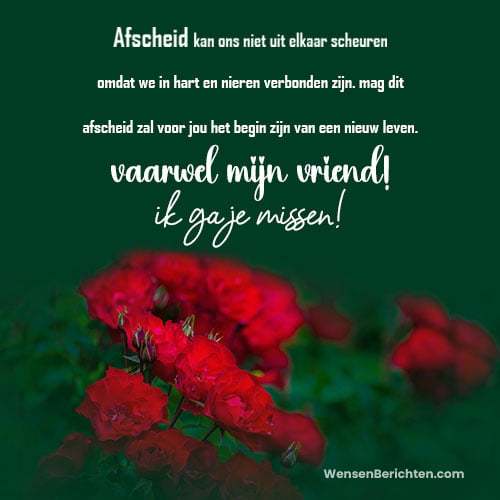 Lang-afscheids-berichten-voor-vrienden