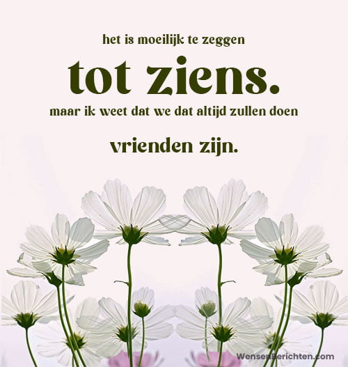 afscheid-sbijschriften-voor-vriend