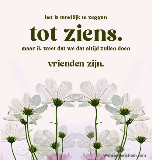 afscheid-sbijschriften-voor-vriend
