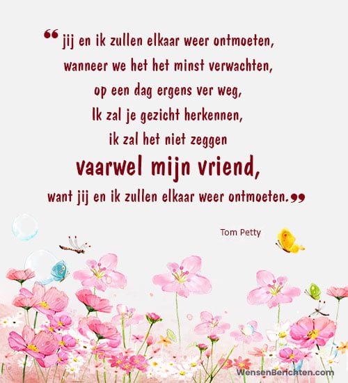 afscheid-scitaten-voor-vrienden