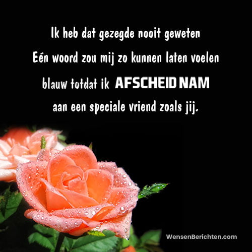 afscheidsbericht-aan-vriend