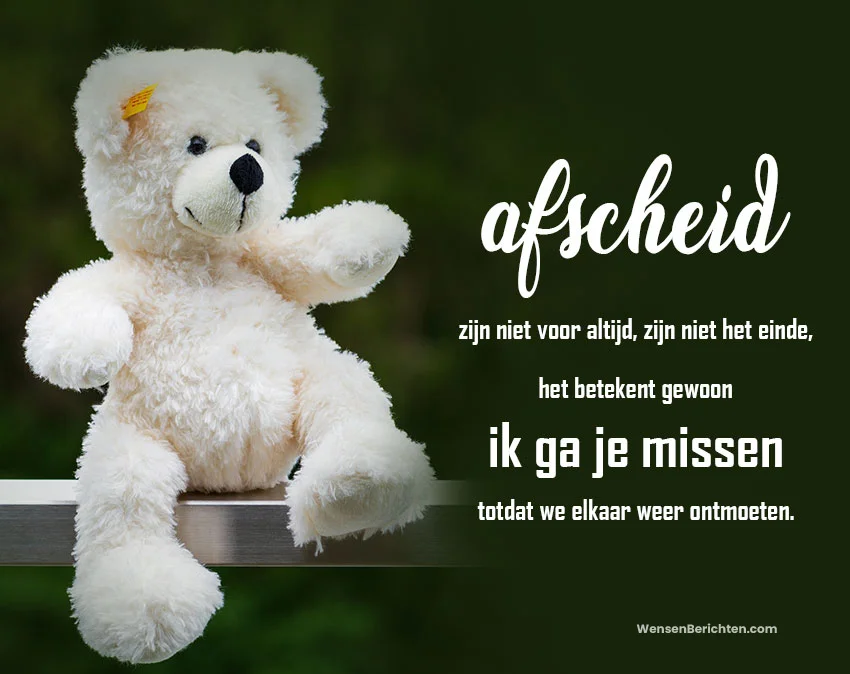 tot-ziens-bericht-aan-een-vriend