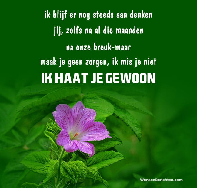 haat-citaten-voor-gf