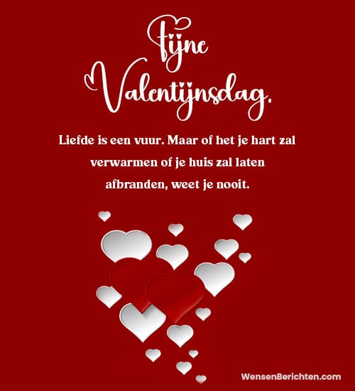 grappige-valentijnsberichten-voor-vrienden-2