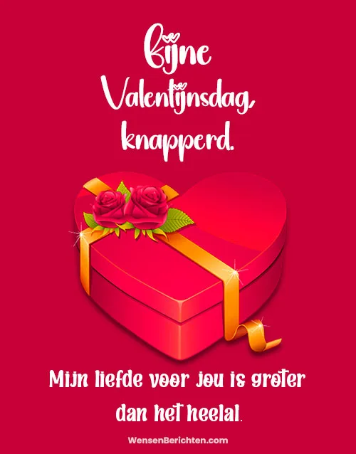 valentijnswensen-voor-vriendje