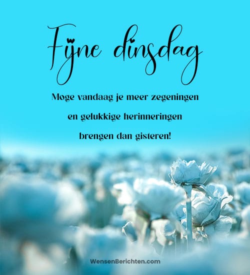 Fijne-dinsdag,-moge-vandaag-je-meer-zegeningen-brengen