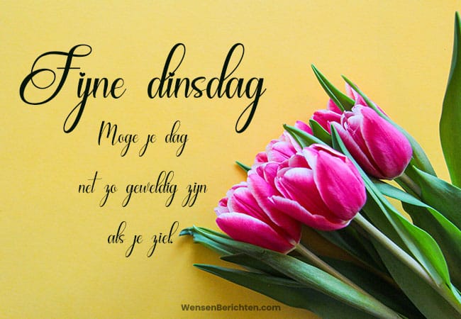 Fijne-dinsdag-tekst