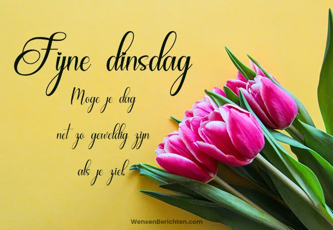 Fijne-dinsdag-tekst