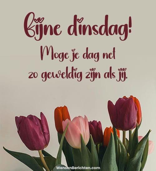 Goedemorgen-dinsdag