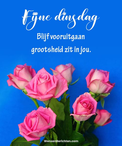 fijne-dinsdag-afbeelding