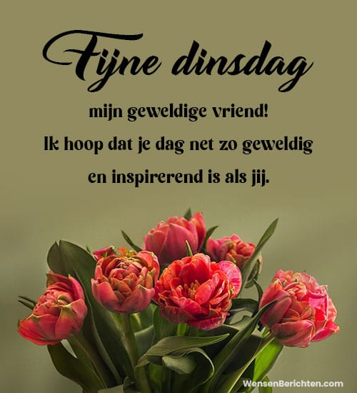 fijne-dinsdag-berichten-voor-je-vriend