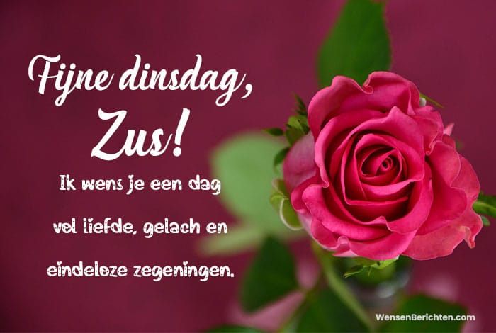 fijne-dinsdag-wensen-voor-je-zus