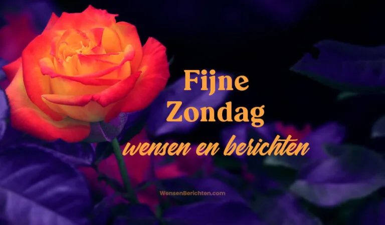 Fijne-Zondag-Wensen-Berichten-en-Citaten