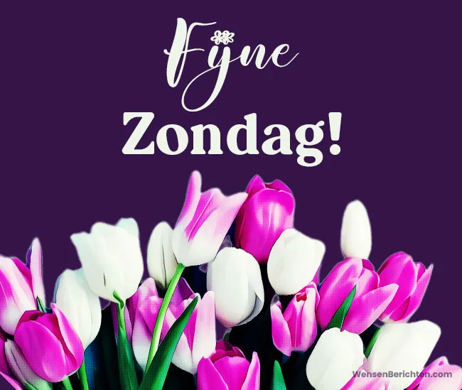Fijne-Zondag