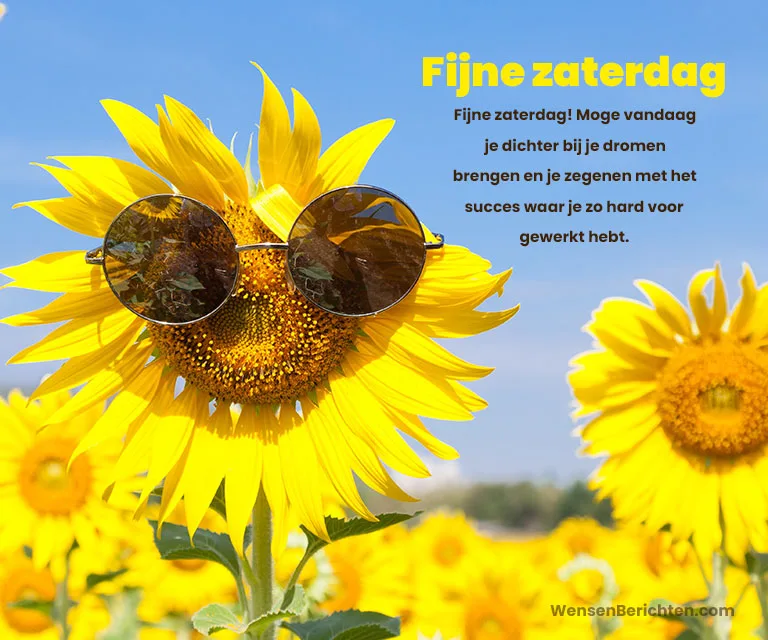 Fijne-zaterdag-wensen-voor-succes-Zonnebloem-zonnebril