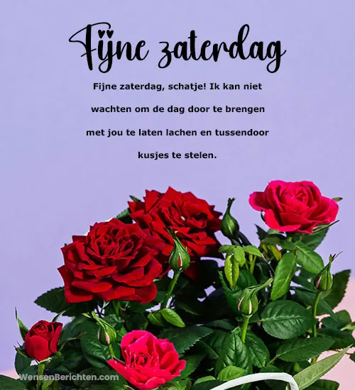 Fijne-zaterdagwensen-voor-je-vriendin-Rode-rozen