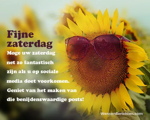 Geestige-Happy-Saturday-Wensen-Zonnebloemen-Zonnebril