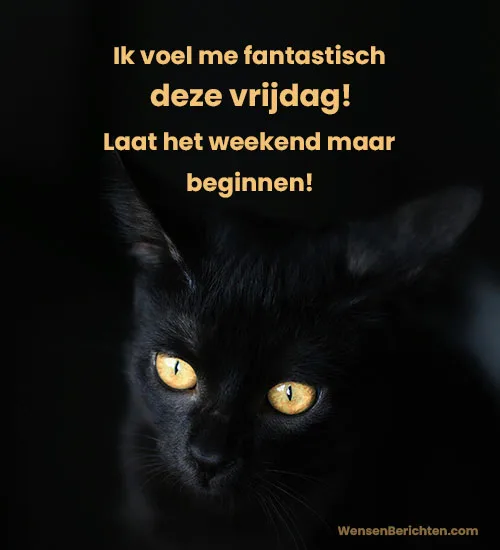 Korte-boeiende-vrijdagbijschriften-Zwarte-kat
