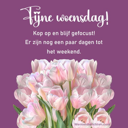 fijne-woensdag