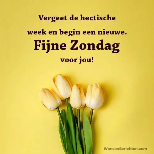 fijne-zondag-bericht