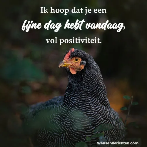 Fijne-dag-Vandaag-1