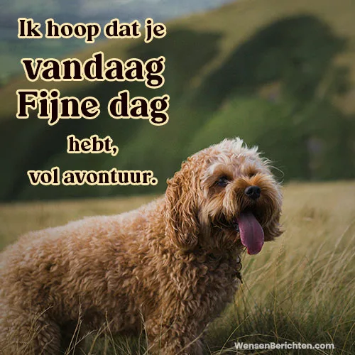 Fijne-dag-Vandaag-13