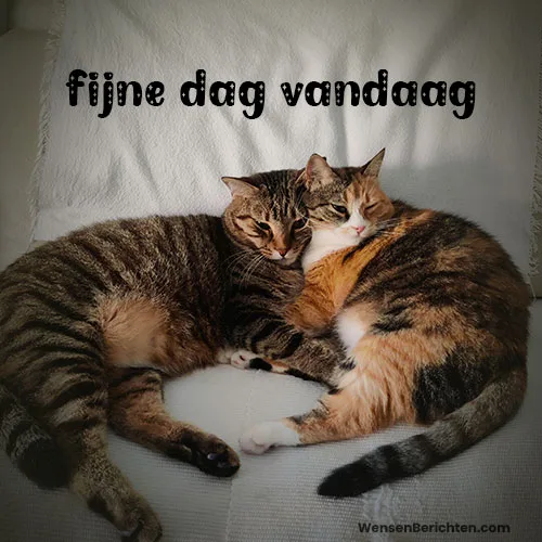 Fijne-dag-Vandaag-2