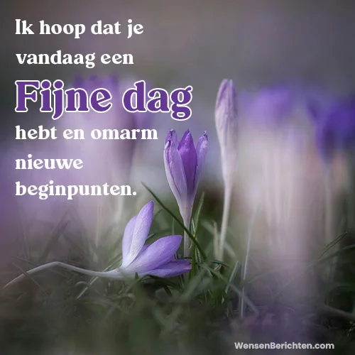 Fijne-dag-Vandaag-20