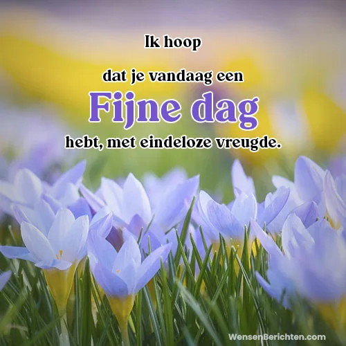 Fijne-dag-Vandaag-21