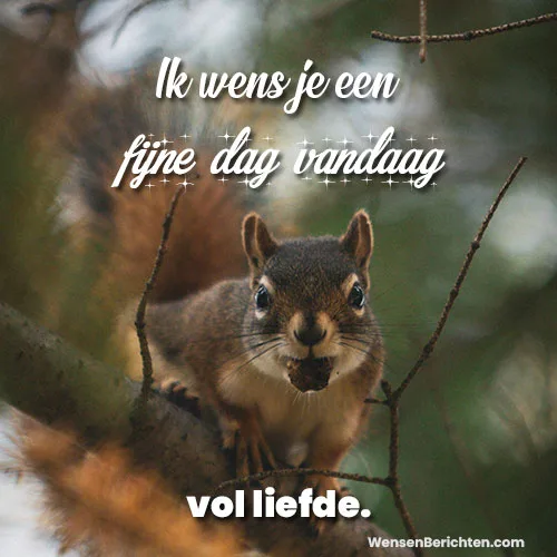 Fijne-dag-Vandaag-3