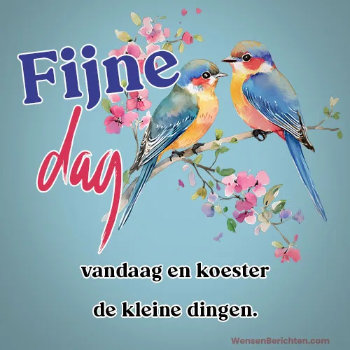 Fijne-dag-Vandaag-30