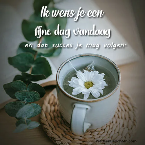 Fijne-dag-Vandaag-4