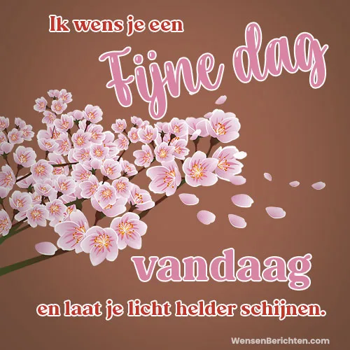Fijne-dag-Vandaag-40