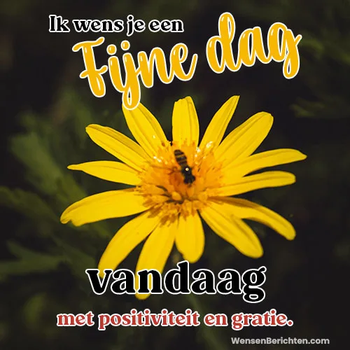 Fijne-dag-Vandaag-43