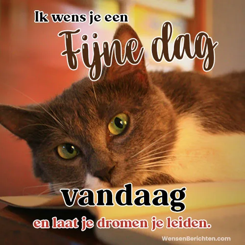 Fijne-dag-Vandaag-44