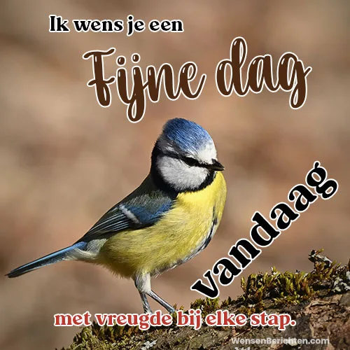 Fijne-dag-Vandaag-45