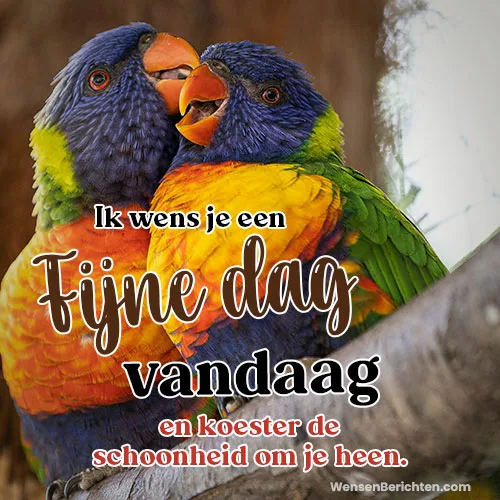 Fijne-dag-Vandaag-46