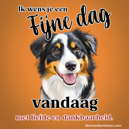 Fijne-dag-Vandaag-49