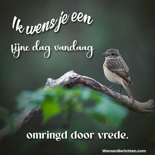 Fijne-dag-Vandaag-5