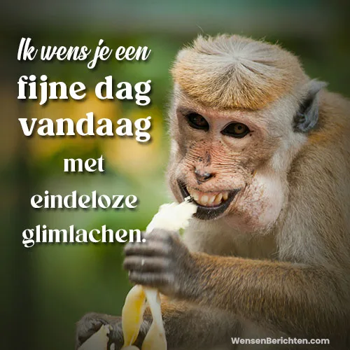 Fijne-dag-Vandaag-7