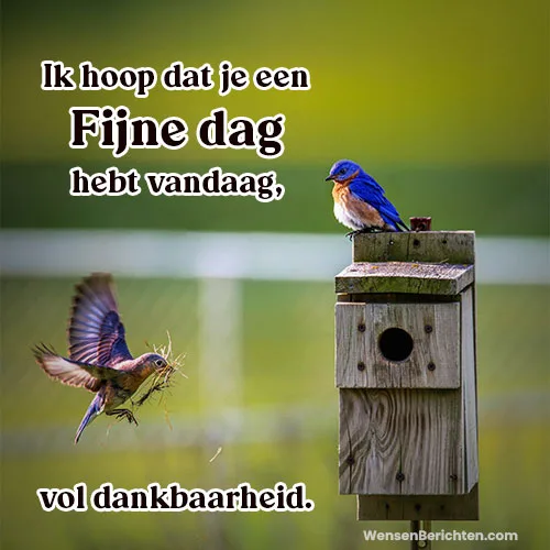 Fijne-dag-Vandaag-9