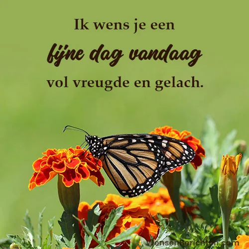 Fijne-dag-Vandaag